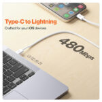 Ambrane ABTL-Q12 Type-C to Lightning Cable