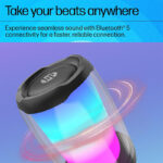 HP DHS-5100 5W Bluetooth Speaker